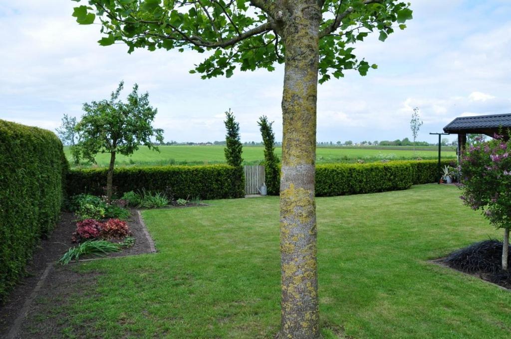 Beukenlaan Bed & Breakfast Rouveen Exterior foto